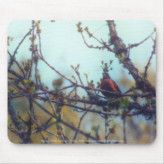 Spring Mouse Pad