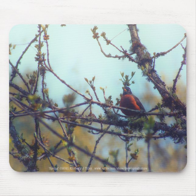 Spring Mouse Pad (Front)