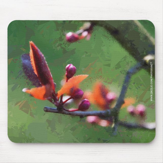 Spring Mouse Pad (Front)