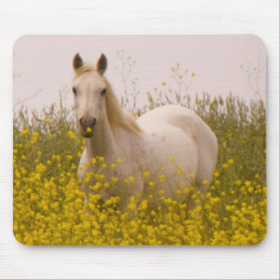 Spring Mouse Pad