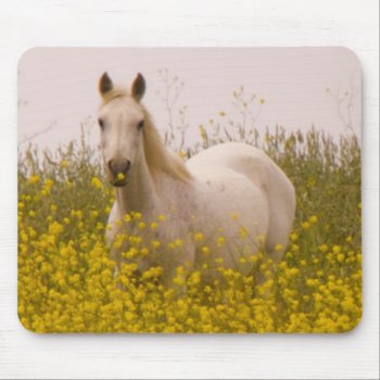Spring Mouse Pad by AuraEditions at Zazzle