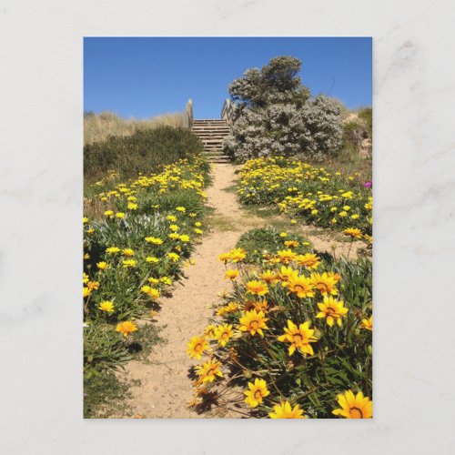 Spring ninety mile beach Australia Postcard