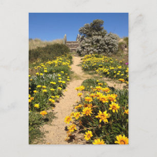 Spring ninety mile beach, Australia Postcard