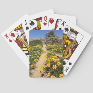 Spring ninety mile beach entrance poker cards