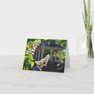 'Spring' Notecard