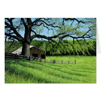 Spring Oak Cards