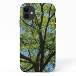 Spring Oak Tree Green Nature iPhone 11 Case