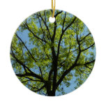 Spring Oak Tree Green Nature Ceramic Ornament