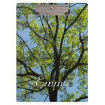 Spring Oak Tree Green Nature Clipboard