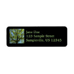 Spring Oak Tree Green Nature Label