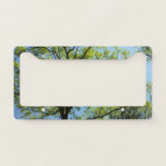 Spring Oak Tree Green Nature License Plate Frame