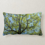 Spring Oak Tree Green Nature Lumbar Pillow