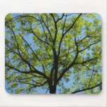 Spring Oak Tree Green Nature Mouse Pad