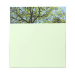 Spring Oak Tree Green Nature Notepad
