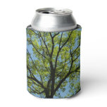 Spring Oak Tree Vibrant Nature Can Cooler