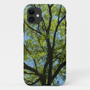 Spring Oak Tree Vibrant Nature iPhone 11 Case