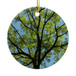 Spring Oak Tree Vibrant Nature Ceramic Ornament