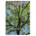 Spring Oak Tree Vibrant Nature Clipboard