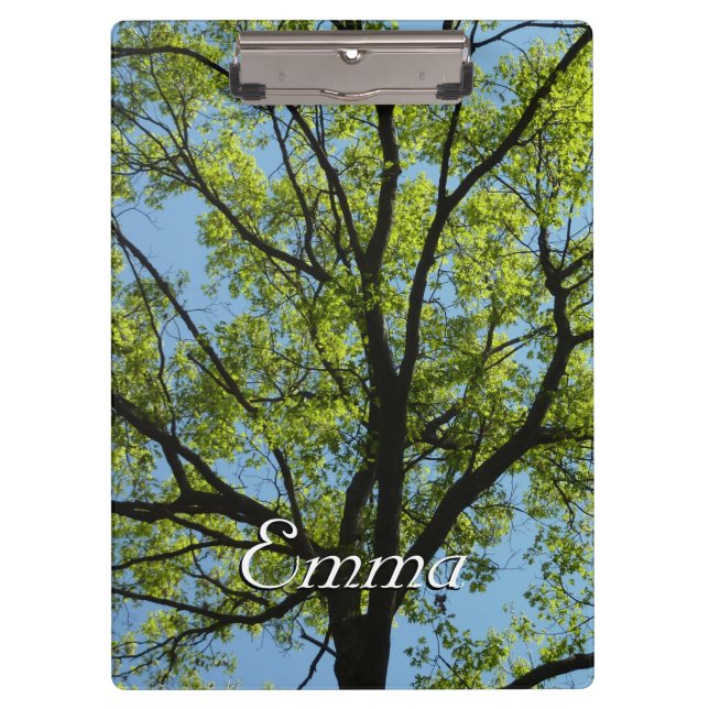 Spring Oak Tree Vibrant Nature Clipboard (Front)