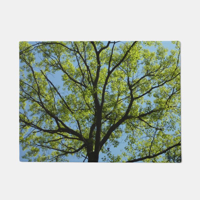 Spring Oak Tree Vibrant Nature Doormat (Front)
