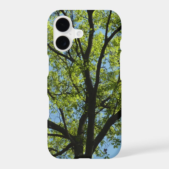 Spring Oak Tree Vibrant Nature Iphone Case (Back)