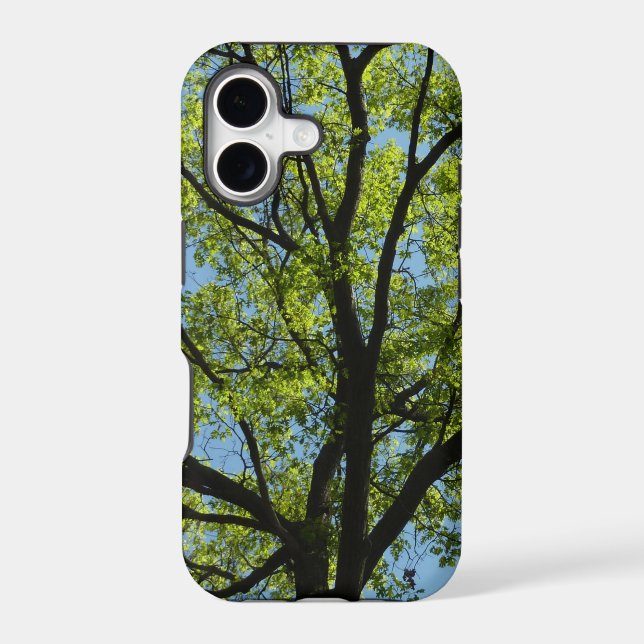 Spring Oak Tree Vibrant Nature Iphone Case (Back)