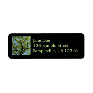 Spring Oak Tree Vibrant Nature Label