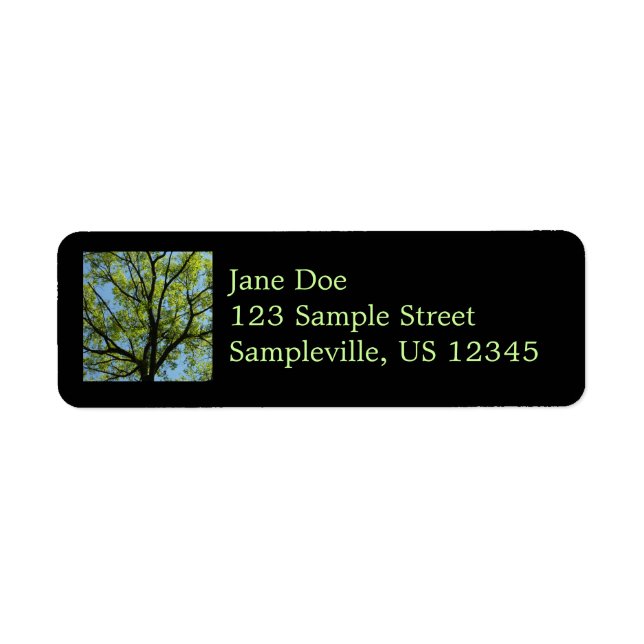 Spring Oak Tree Vibrant Nature Label (Front)