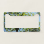 Spring Oak Tree Vibrant Nature License Plate Frame