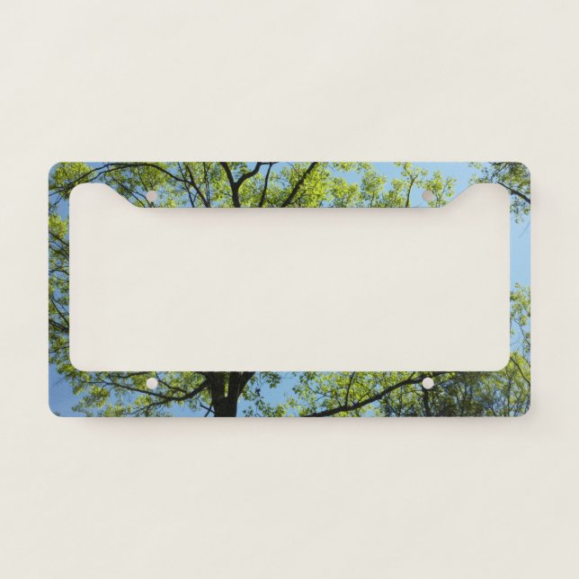 Spring Oak Tree Vibrant Nature License Plate Frame (Front)