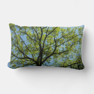 Spring Oak Tree Vibrant Nature Lumbar Pillow