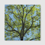 Spring Oak Tree Vibrant Nature Magnet