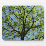 Spring Oak Tree Vibrant Nature Mouse Pad