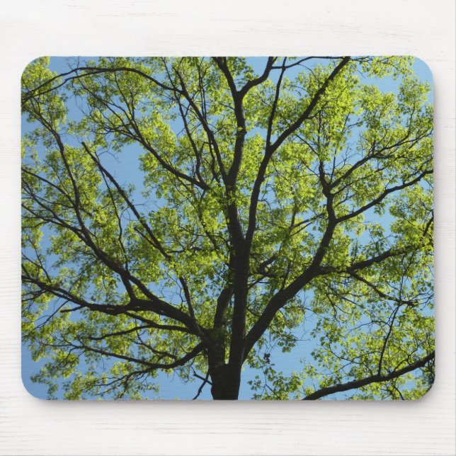 Spring Oak Tree Vibrant Nature Mouse Pad (Front)