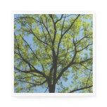 Spring Oak Tree Vibrant Nature Napkins