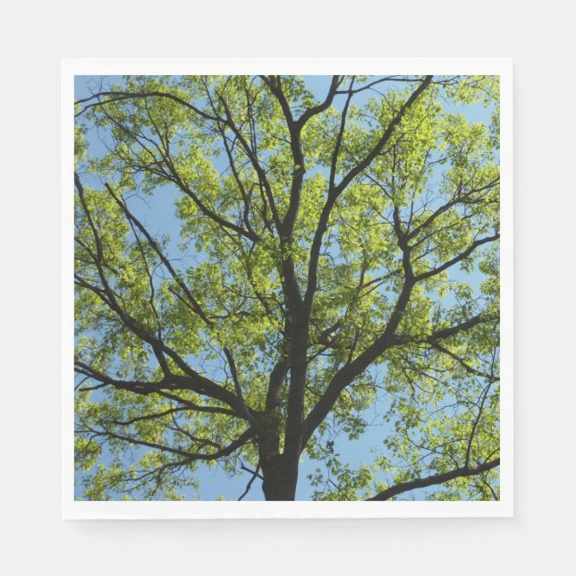 Spring Oak Tree Vibrant Nature Napkins (Front)
