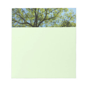 Spring Oak Tree Vibrant Nature Notepad