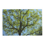 Spring Oak Tree Vibrant Nature Placemat
