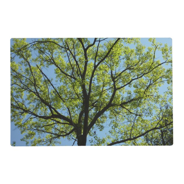 Spring Oak Tree Vibrant Nature Placemat (Front)
