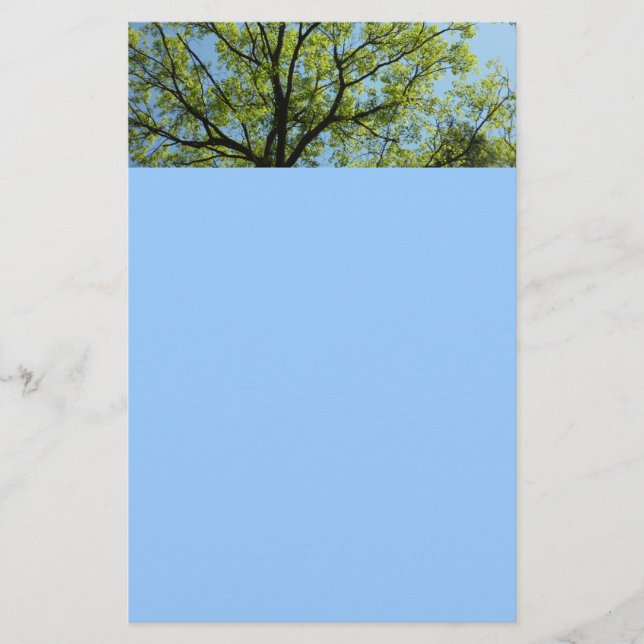 Spring Oak Tree Vibrant Nature Stationery (Front)