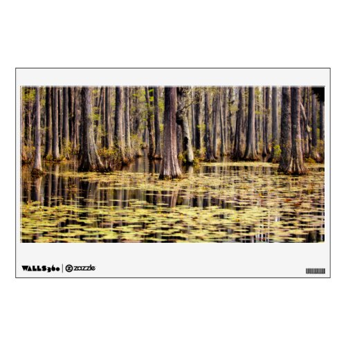 Spring on Cypress Swamp Wall Decal