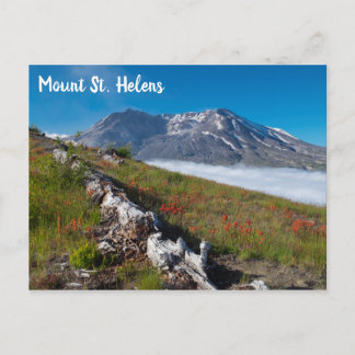 Spring on Mount St. Helens Postcard