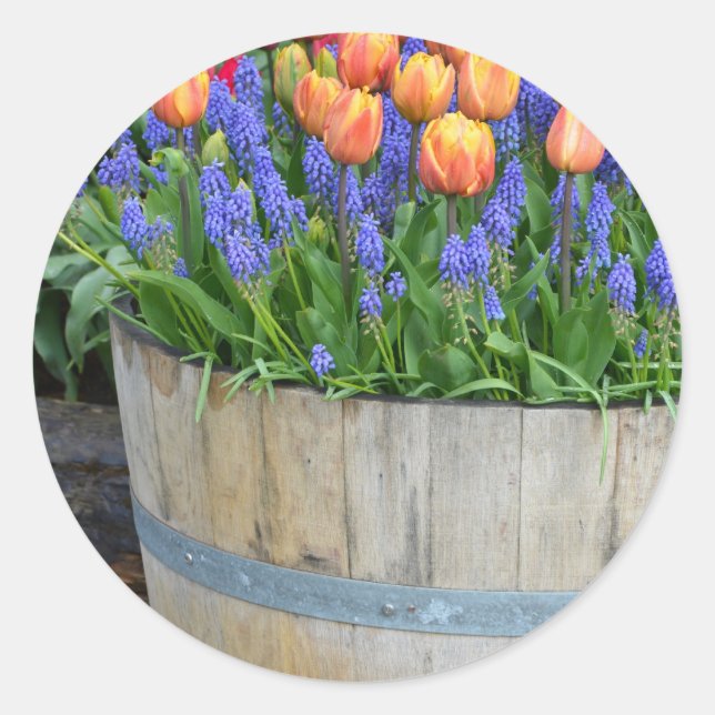 Spring orange tulip planter print classic round sticker (Front)