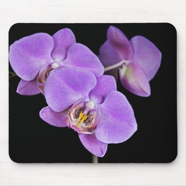 Spring Orchids Mouse Pad (Front)