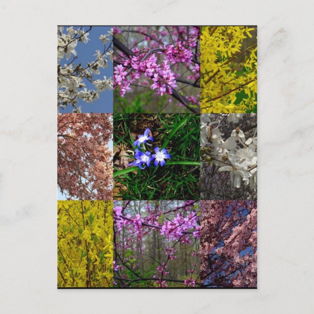 Spring Patchwork Postcard (Front)