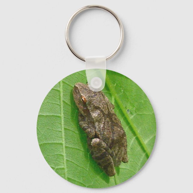 Spring Peeper (Pseudacris crucifer) Treefrog Items Keychain (Front)