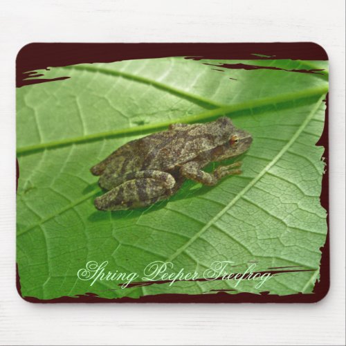 Spring Peeper Pseudacris crucifer Treefrog Items Mouse Pad