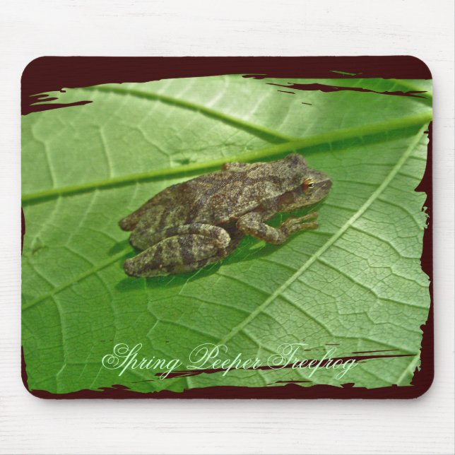Spring Peeper (Pseudacris crucifer) Treefrog Items Mouse Pad (Front)