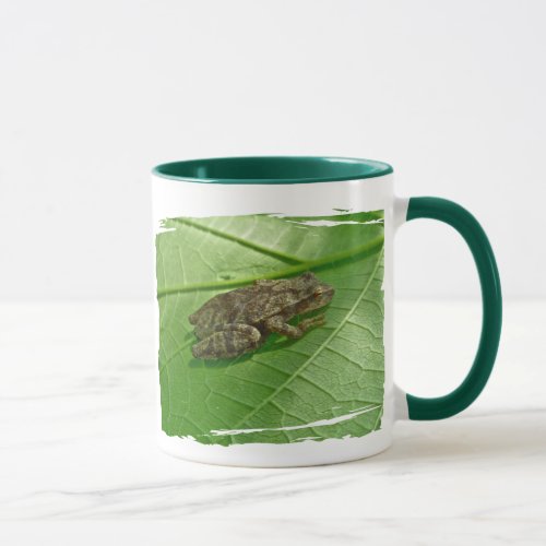 Spring Peeper Pseudacris crucifer Treefrog Items Mug