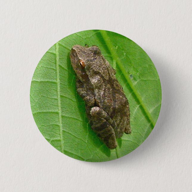 Spring Peeper (Pseudacris crucifer) Treefrog Items Pinback Button (Front)